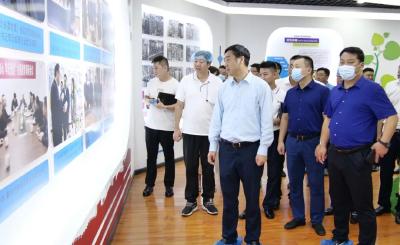 罗兴斌：拉长增粗补强产业链，推动重点项目又好又快发展