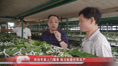 南漳新闻丨农技专家上门服务 助力秋蚕优质高产