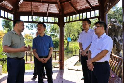 省委宣传部领导到我县调研文化旅游产业