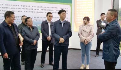 罗兴斌：多措并举，支持农业龙头企业做大做强做优