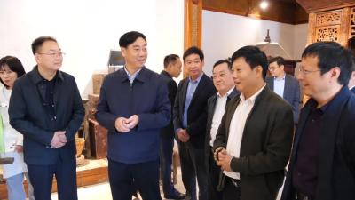罗兴斌调研乡村振兴工作时强调：奋力推动美丽乡村建设与农旅文旅融合发展
