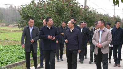 台盟湖北省委会领导到我县调研