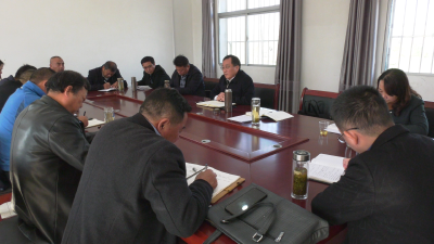 孙国强调研武安镇村 “两委”换届选举工作