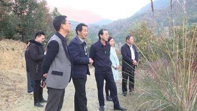 张功玉到长坪镇调研脱贫攻坚后评估迎检工作