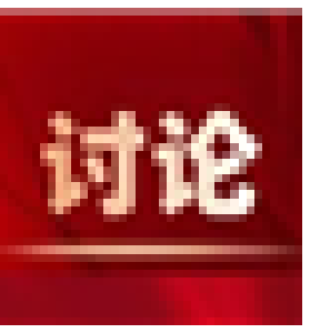 县领导参加人大代表分团审议