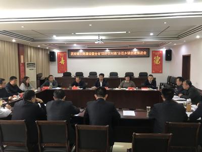 县交通运输局推进武安镇公路建设暨全省“四好农村路”示范乡镇创建