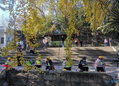 【热点关注】襄阳动物园72棵银杏黄啦 孩子们受邀赴银杏之约
