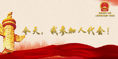 V视频丨今天，我参加人代会！