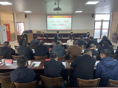 我县组织召开全县村（社区）“两委”换届工作研判调度会