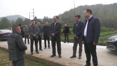 市领导到我县调研乡村振兴工作 