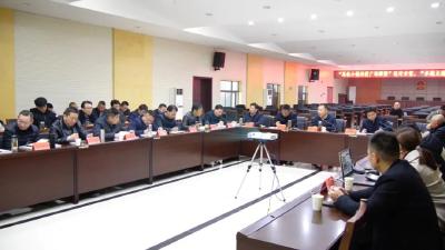 我县召开“高铁小镇站前广场雕塑”“水镜大道改造设计方案”初审会