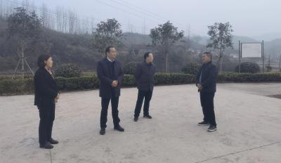 雷斌到巡检镇督导村“两委”班子建设等工作