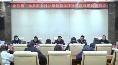 孙国强：突出特色，补齐短板，谋划好第三批美丽乡村建设项目