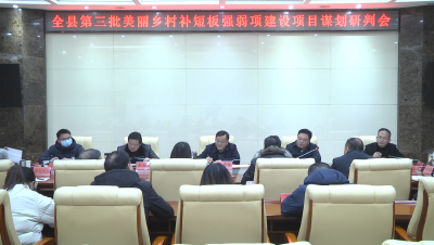 孙国强：突出特色，补齐短板，谋划好第三批美丽乡村建设项目