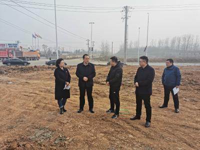 县领导调研重点项目和乡村振兴工作