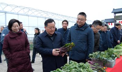 孙国强：抓好“七个必须”，加快推进美丽乡村建设
