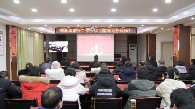 我县组织收看全省审计工作视频会议