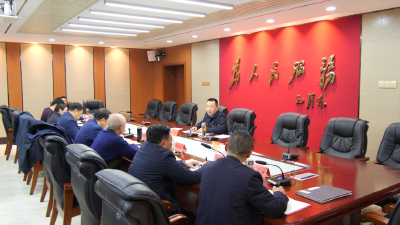 县政府召开党史学习教育专题民主生活会