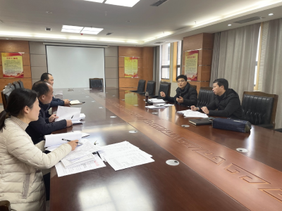 县领导到县自然资源和规划局调研重点项目建设