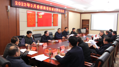 16个项目参与2月份评审，陈栋要求以“四快”推进项目早签约早落地早投产