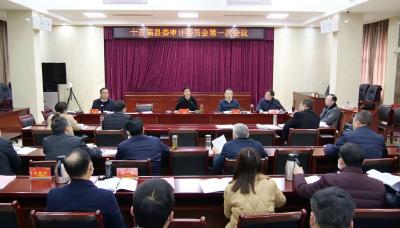 罗兴斌在十五届县委审计委员会第一次会议上强调：以强有力的审计监督护航高质量发展