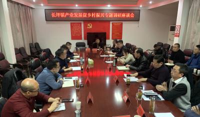 市委调研组到长坪镇调研