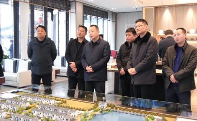 陈栋调研重点项目复工复产，要求全力推进达产达效