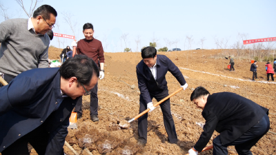 罗兴斌等领导带头参加义务植树活动，为“金南漳”再添新绿