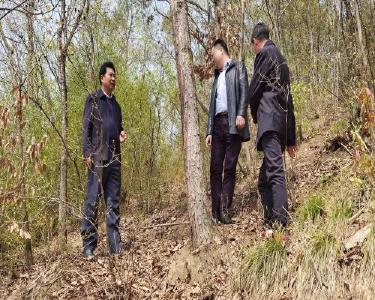 县领导到李庙镇开展巡山工作