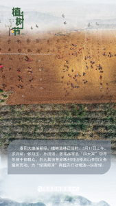 组图丨山水如画 “植”得期待