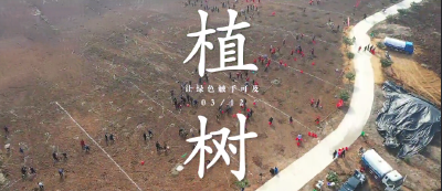 V视频丨“绿满南漳”添新绿