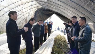 余世明到南漳调研经济社会发展和基层党建工作