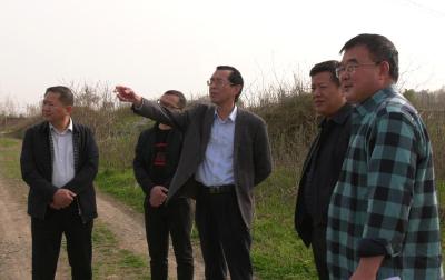 县领导调研企业建设和发展情况