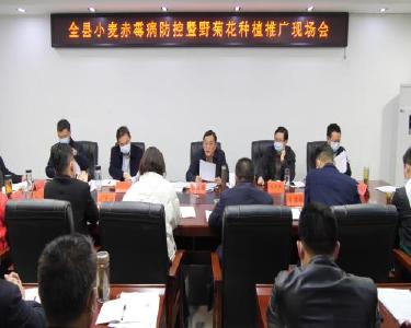 我县组织召开全县小麦赤霉病防控暨野菊花种植推广现场会