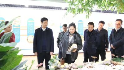 十堰客商到南漳考察，罗兴斌张功玉陪同