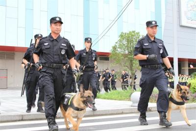 【热点关注】已清退177名不合格保安员！武汉启动保安服务市场整治行动