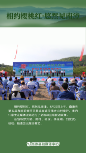 组图丨今年的樱桃红又甜