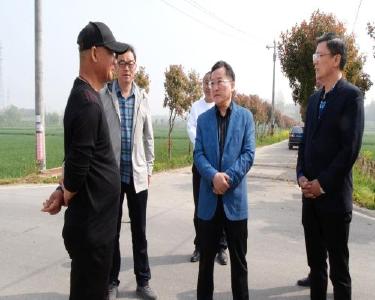 县领导调研春季农业生产和小麦赤霉病防治工作