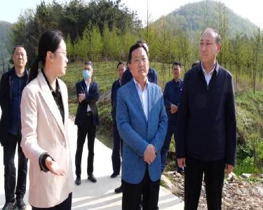 省石油公司领导到我县调研乡村振兴工作