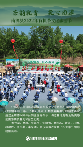 组图丨采茶正当时