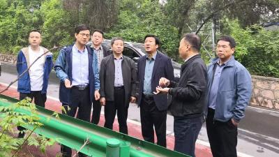 省林业局调研组到南漳县调研当前林业重点工作