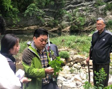 省市专家到漳河源自然保护区开展植物资源调查