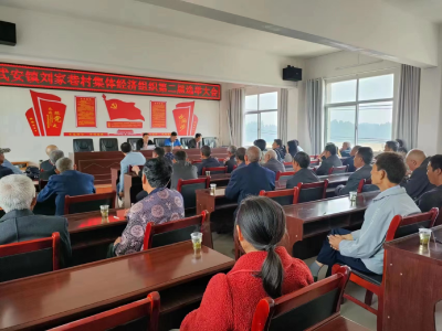 武安镇圆满完成农村集体经济组织换届选举工作