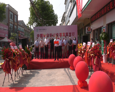 中国农业银行南漳安集支行开业