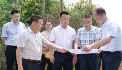 陈栋调研教育重点项目建设用地情况，要求科学选址加快建设
