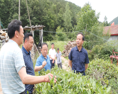 县领导开展下基层察民情解民忧暖民心实践活动