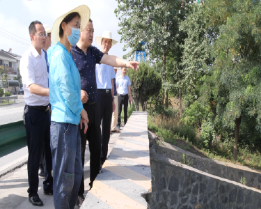 市领导到渭水河南漳段巡查调研