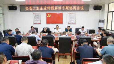 陈栋督办助企纾困工作：面对面倾听诉求，心贴心“把脉开方”