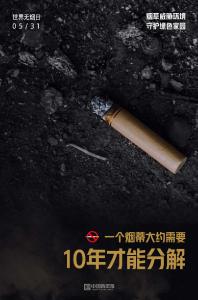 【热点关注】图知道｜一支卷烟的破坏环境之旅