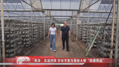 南漳新闻丨南漳：高温持续 农技专家为香菇大棚“防暑降温”